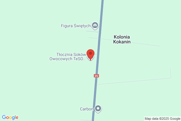 Teso. Tlocznia soków owocowych
