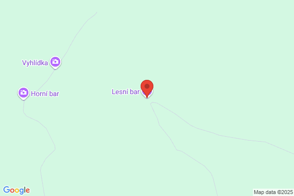 Lesny. Bar