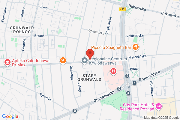 Pod Czarnym Kotem. Karczma przedsiebiorstwa Complex