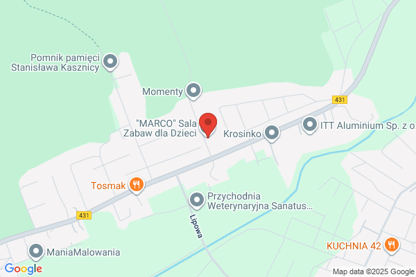 Jamur. ZPHU. Jankowiak K.