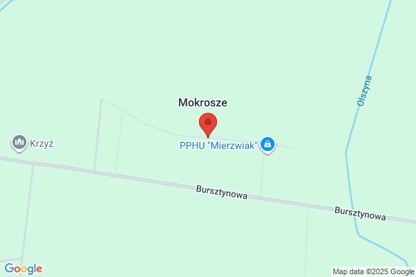 Iryt. Rychlewski I.