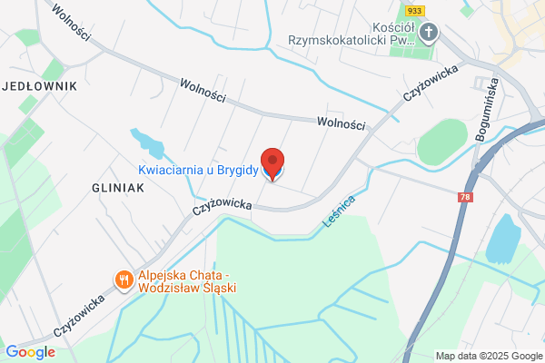 Kwiaciarnia i Ogródek. Dzierzega H.