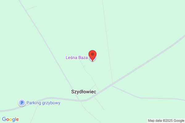 Bazy dla pracowników