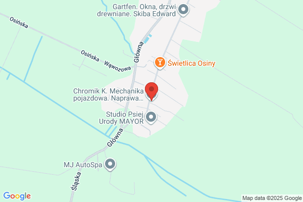 Chromik K. Mechanika pojazdowa. Naprawa samochodów ciezarowych i dostawczych Mercedes