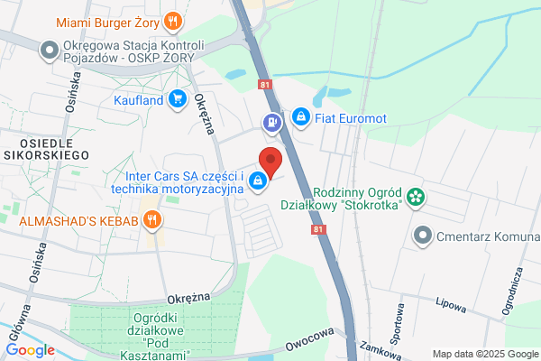 V-Bus. Sp. z o.o. Przewóz osób