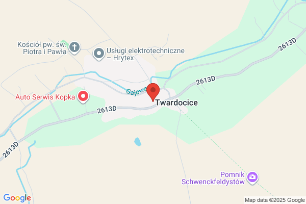 Szkola Podstawowa nr 9 im. H. Sienkiewicza