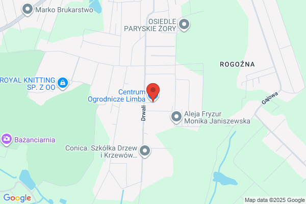 Limba. Szkólka drzew i krzewów ozdobnych. Konik Grzegorz