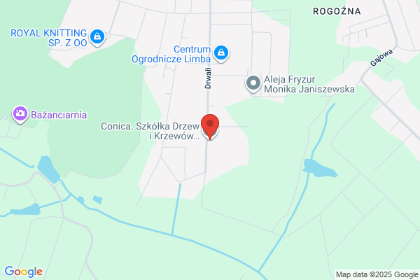 Conica. Szkólka drzew i krzewów owocowych i ozdobnych. Bernadeta Konik