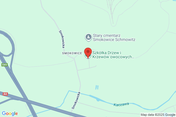 Krawczyk Henryk. Sprzedaz krzewów ozdobnych i drzewek owocowych