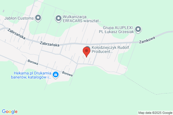 Czernik Zbigniew. Uslugi transportowe