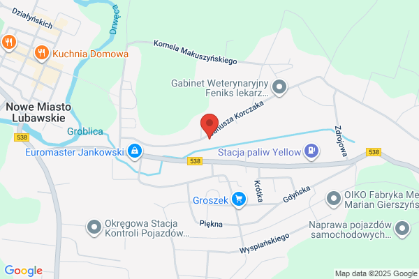 Alta-Trans. Miedzynarodowy transport i spedycja. S. Wójcik