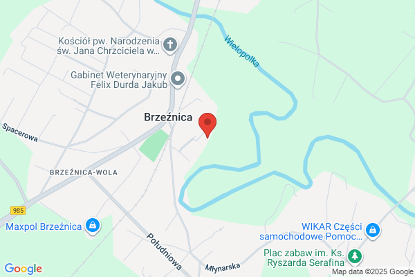 Dejwnet. Zurek D.