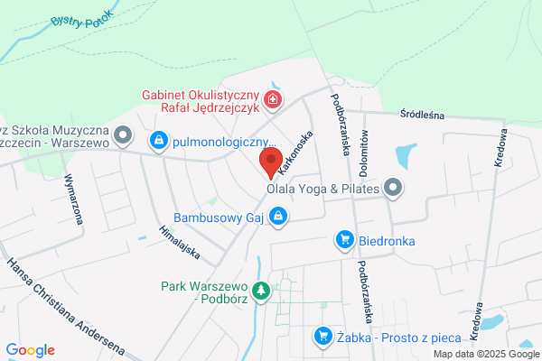 Max. Transport krajowy i miedzynarodowy. Firlej M., Nowicka L.