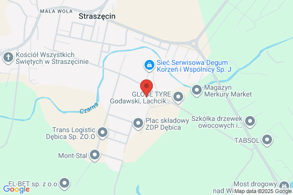 Zespól Opieki Zdrowotnej w Debicy. Oddzialy psychiatryczne